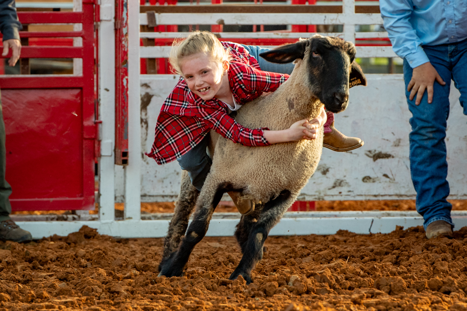 Mutton Bustin'