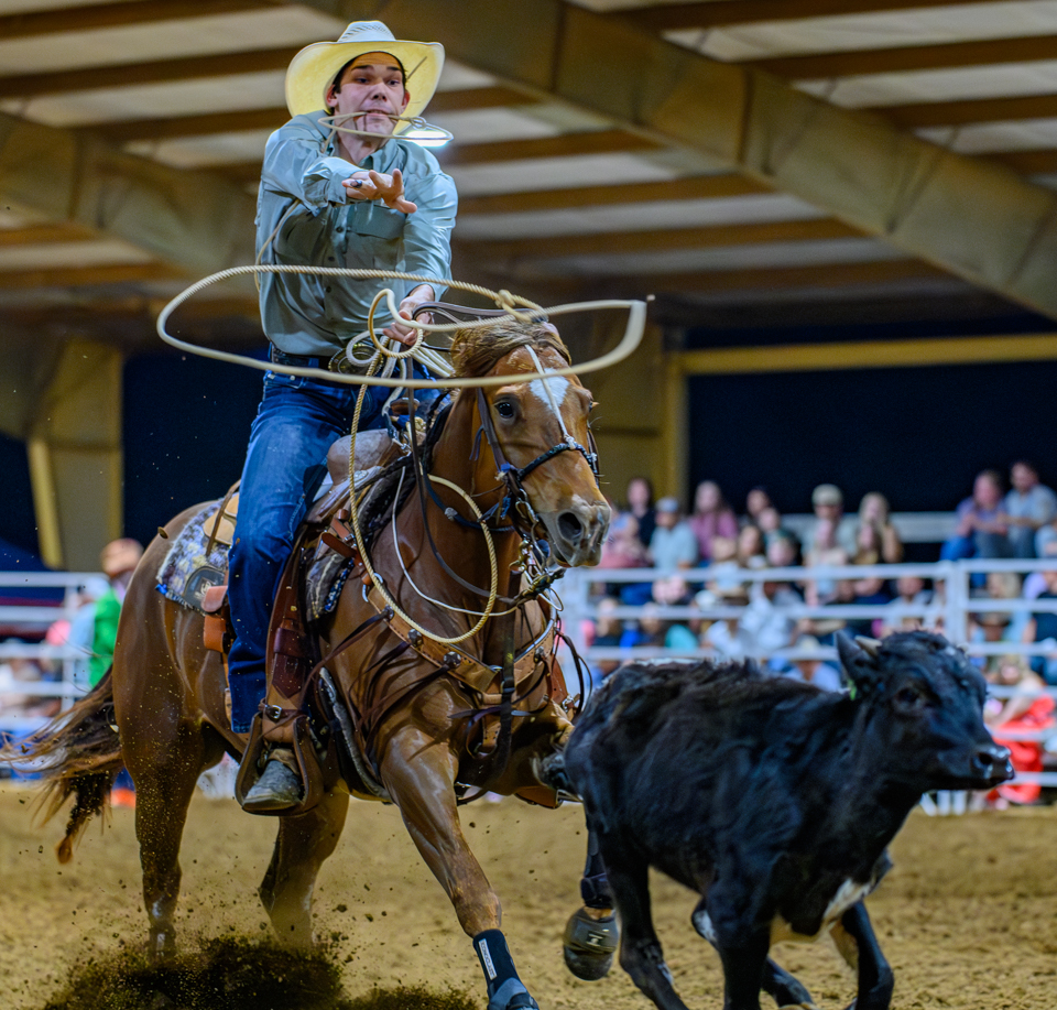 Dayton Rodeo