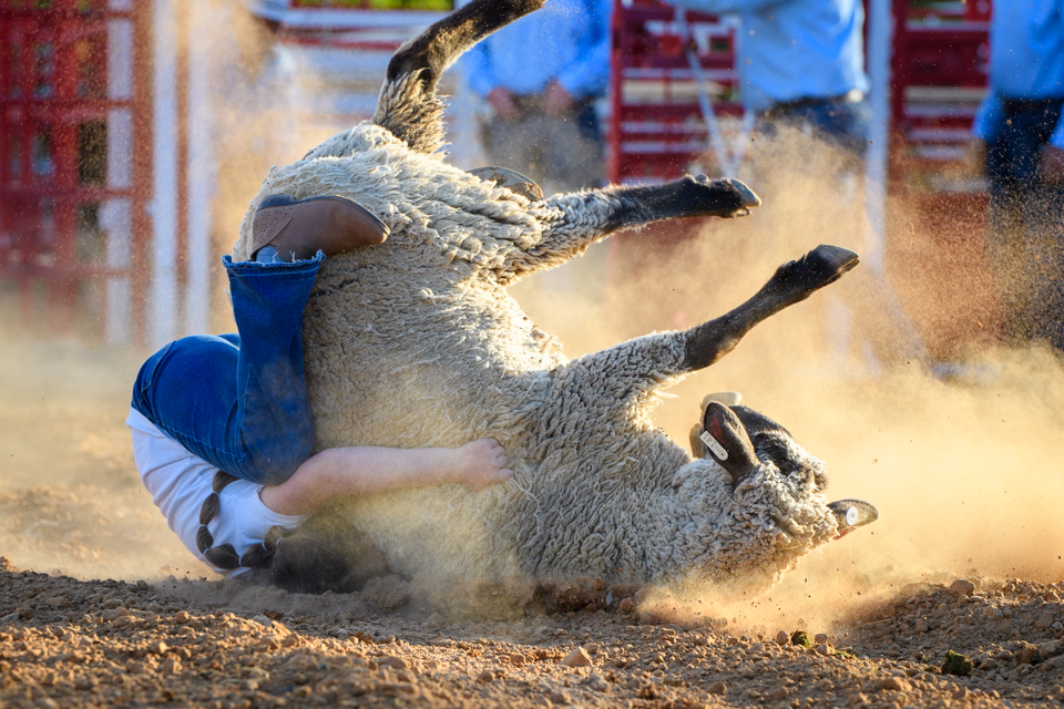 Wool and dirt