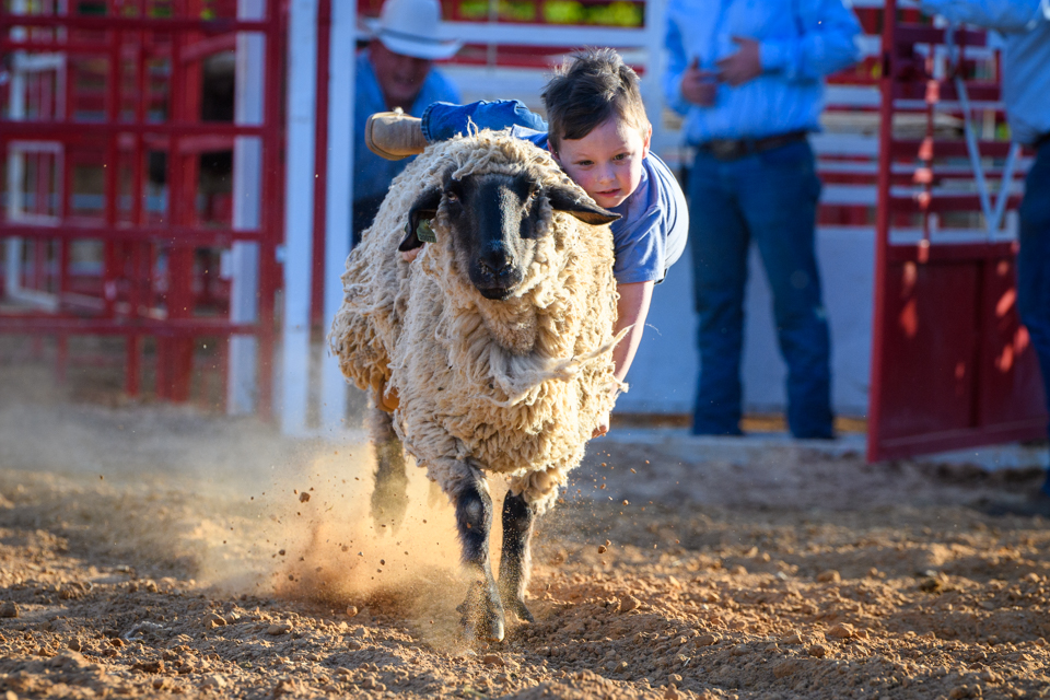 Hold on tight — dust and determination